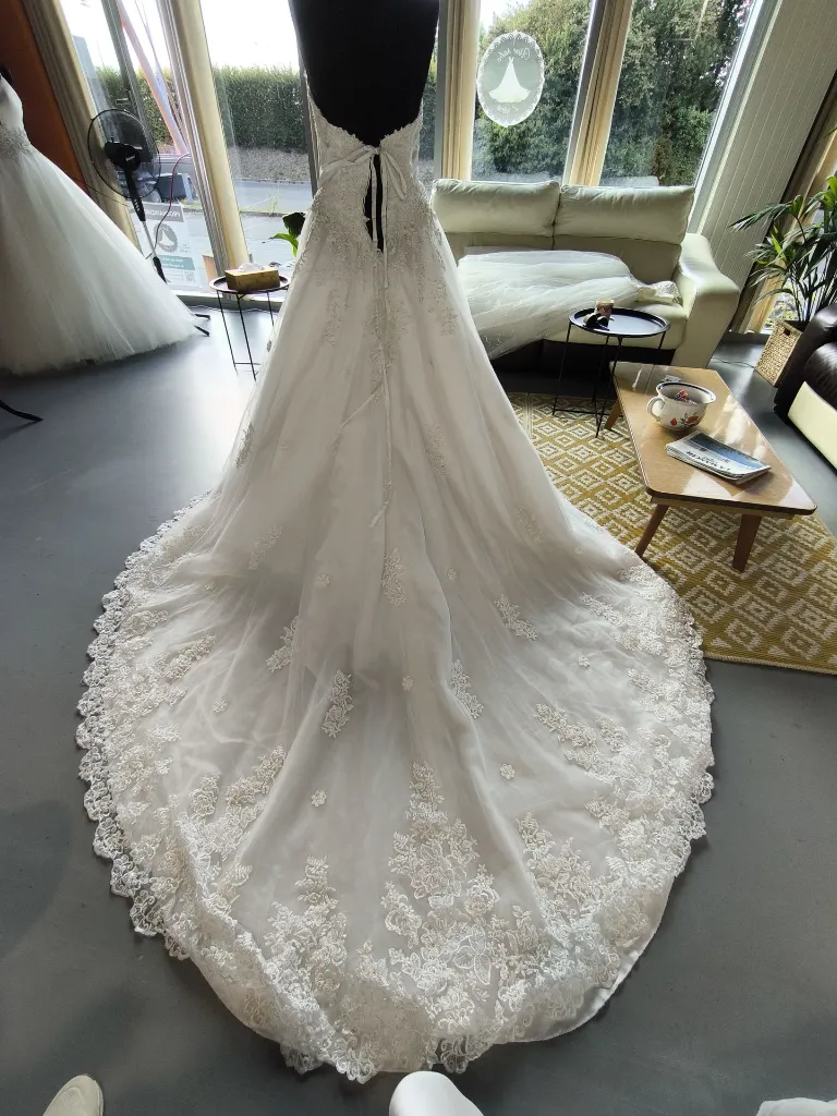 IMG_20260731_175631.webp