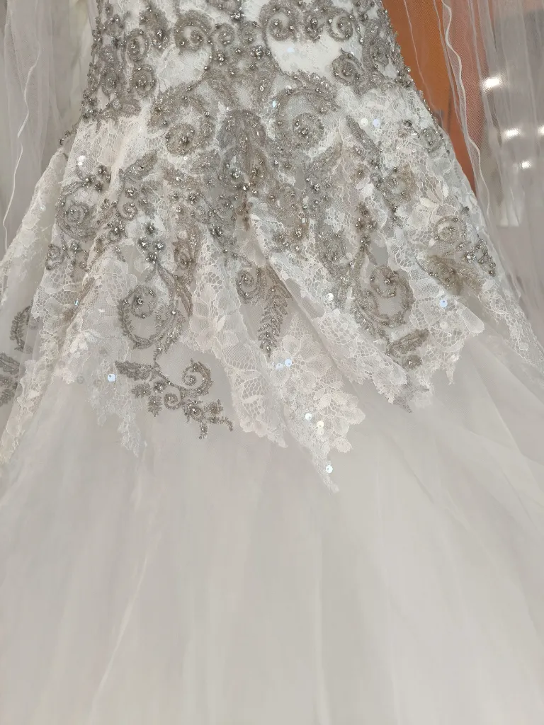 IMG_20261006_182428.webp