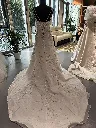 IMG_20260910_181739.webp